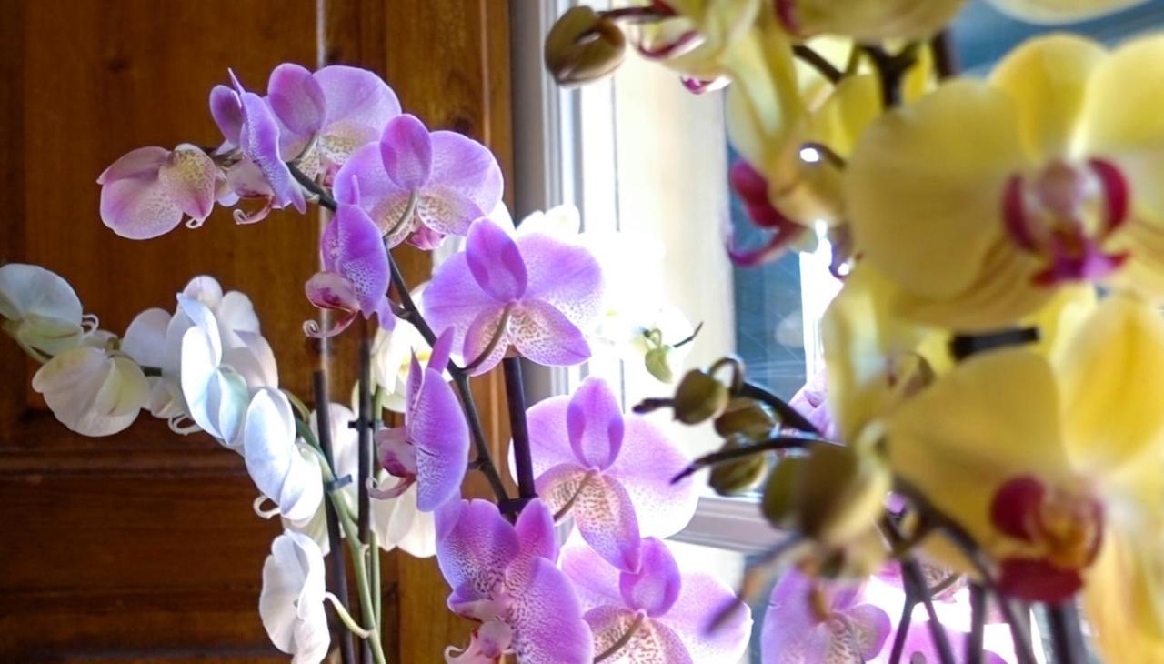 لوكا Villa San Donato B&B المظهر الخارجي الصورة